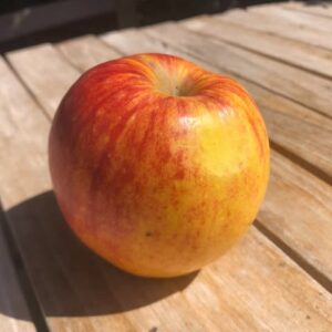 Pommier Jonagold