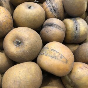 Pommier Patte de Loup