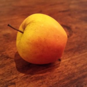 Pommier Reinette Ananas